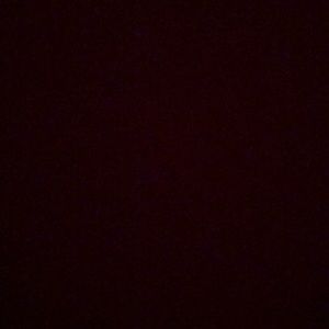 Meet your Posher, Phillip